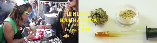 метадон Снежногорск